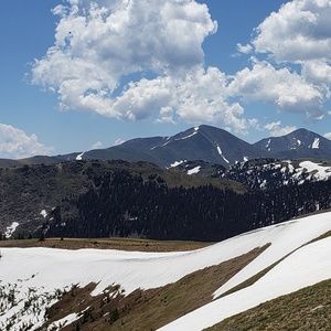 Meet your Posher, Bobbie